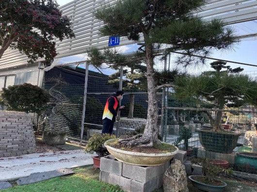 
空军特色医学中心黄牛代挂号电话票贩子号贩子网上预约挂号,住院检查加快,善治长安丨快来一探“虹桥花谷”焕然一新的奥秘所在→