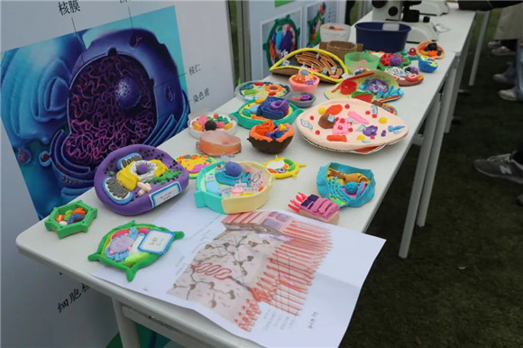 WDCM上传图片 WDCM上传图片