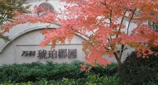 
北京301医院黄牛代挂号电话票贩子号贩子网上预约挂号,住院检查加快,赋能基层、探索治理新路径！宝山这个镇发布2023年社区治理十大“星计划”