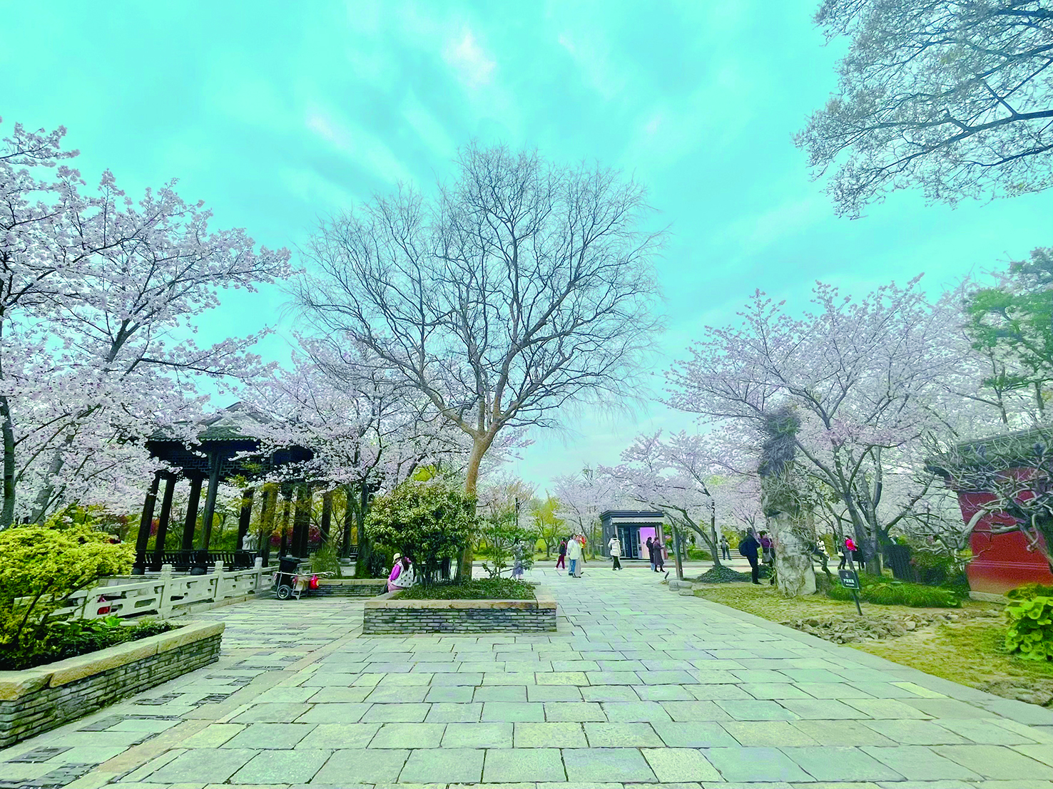
北京阜外医院黄牛代挂号电话票贩子号贩子网上预约挂号,住院检查加快,古建花海交相辉映 文创美物琳琅满目 广富林文化遗址“樱Joy市集”开市