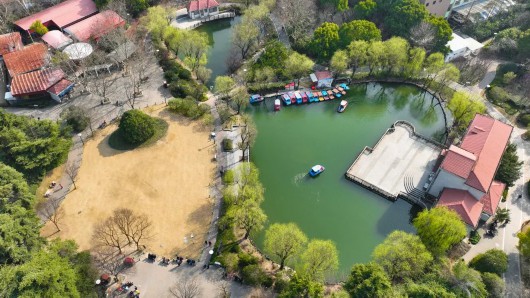 
浙江大学邵逸夫医院黄牛代挂号电话票贩子号贩子网上预约挂号,住院检查加快,让春意点亮心情！快来宝山31家星级公园踏青赏花吧~