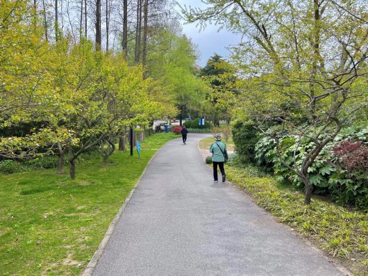 
浙江大学邵逸夫医院黄牛代挂号电话票贩子号贩子网上预约挂号,住院检查加快,让春意点亮心情！快来宝山31家星级公园踏青赏花吧~