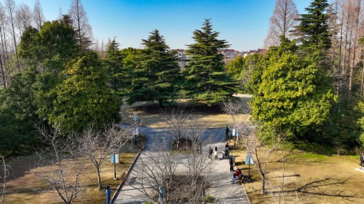 
浙江大学邵逸夫医院黄牛代挂号电话票贩子号贩子网上预约挂号,住院检查加快,让春意点亮心情！快来宝山31家星级公园踏青赏花吧~