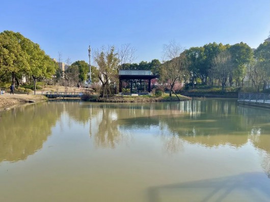 
浙江大学邵逸夫医院黄牛代挂号电话票贩子号贩子网上预约挂号,住院检查加快,让春意点亮心情！快来宝山31家星级公园踏青赏花吧~