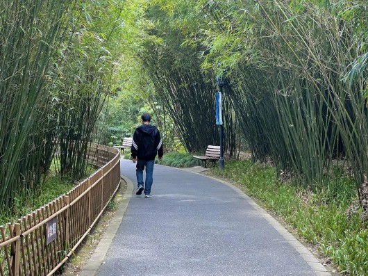 
浙江大学邵逸夫医院黄牛代挂号电话票贩子号贩子网上预约挂号,住院检查加快,让春意点亮心情！快来宝山31家星级公园踏青赏花吧~