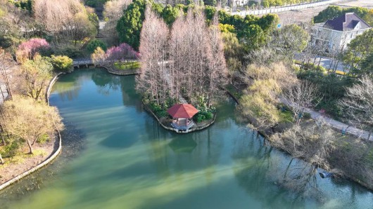 
浙江大学邵逸夫医院黄牛代挂号电话票贩子号贩子网上预约挂号,住院检查加快,让春意点亮心情！快来宝山31家星级公园踏青赏花吧~