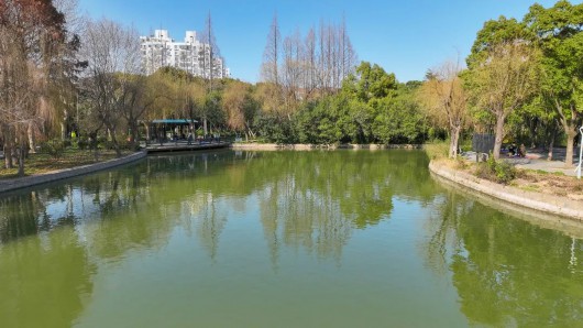 
浙江大学邵逸夫医院黄牛代挂号电话票贩子号贩子网上预约挂号,住院检查加快,让春意点亮心情！快来宝山31家星级公园踏青赏花吧~