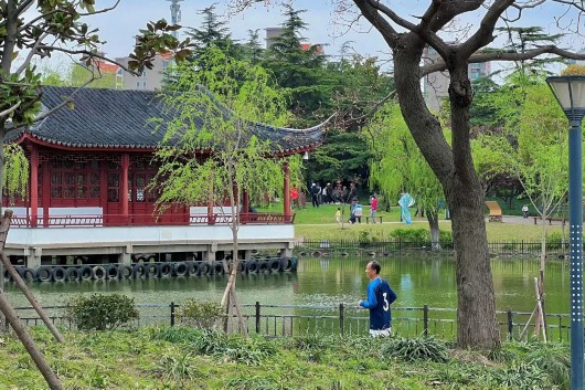 
浙江大学邵逸夫医院黄牛代挂号电话票贩子号贩子网上预约挂号,住院检查加快,让春意点亮心情！快来宝山31家星级公园踏青赏花吧~