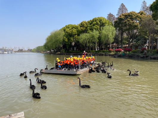 
南京各大医院黄牛代挂号电话票贩子号贩子网上预约挂号,住院检查加快,听嘤嘤声脆，赏翩翩起舞……在青浦与天鹅来一场春日之约吧~