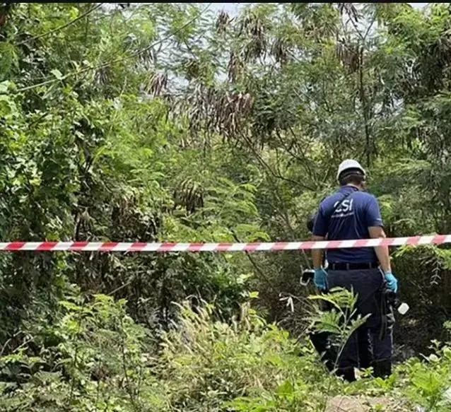 江苏省中医院黄牛代挂号电话票贩子号贩子网上预约挂号,住院检查加快,在泰遇害女留学生案:家属已认领遗体,死者被勒致死有多处刀伤