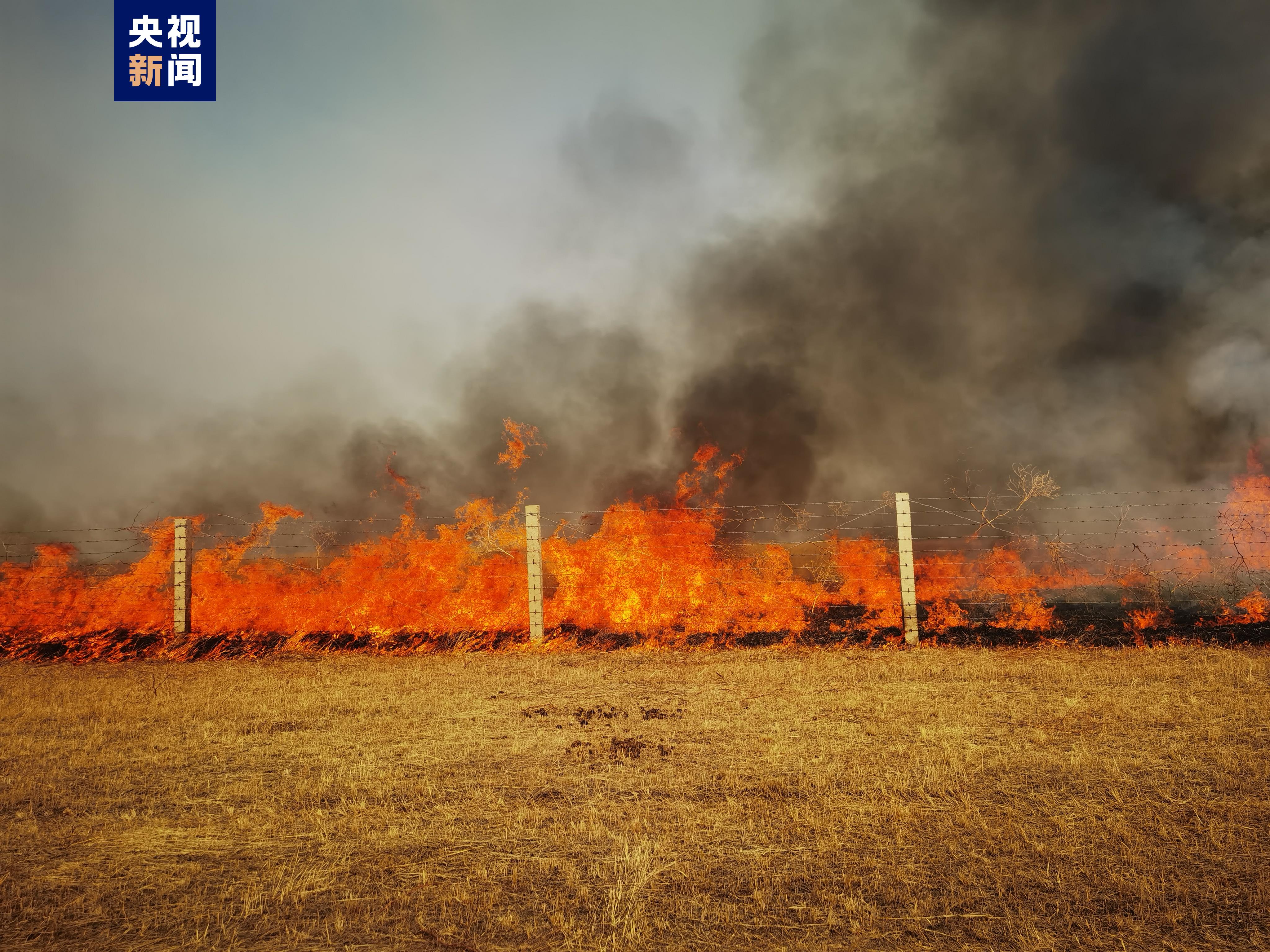 内蒙古消防堵截蒙古国草原大火入境，中蒙边境线明火已扑灭