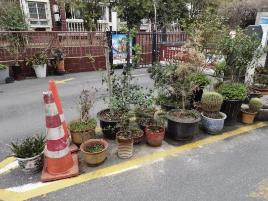 
北京阜外医院黄牛代挂号电话票贩子号贩子网上预约挂号,住院检查加快,“边角空间”打造成实体微景观，居民自治迸发新活力！