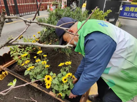 
北京阜外医院黄牛代挂号电话票贩子号贩子网上预约挂号,住院检查加快,“边角空间”打造成实体微景观，居民自治迸发新活力！