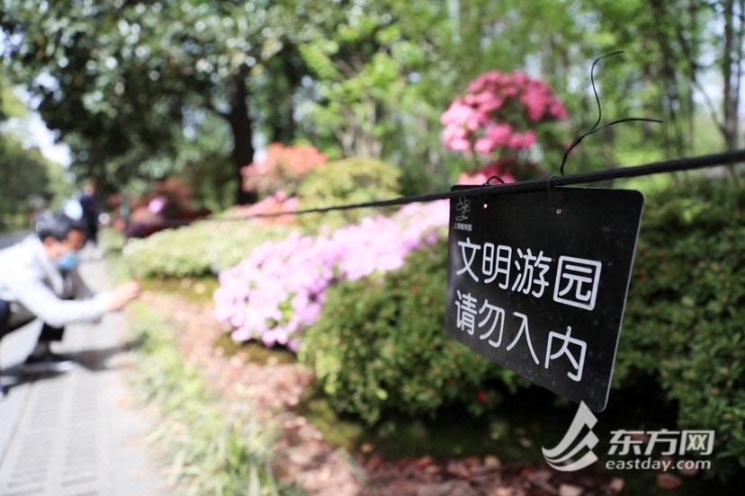 
北医三院黄牛代挂号电话票贩子号贩子网上预约挂号,住院检查加快,2023上海（国际）花展开幕 打造覆盖面最广的“全城花展”| 攻略