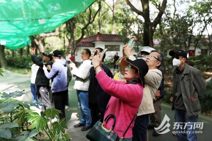 
中国人民解放军总医院黄牛代挂号电话票贩子号贩子网上预约挂号,住院检查加快,小心猛禽出没！杨浦公园凤头鹰回巢，“天罗地网”支起人与自然的平衡点