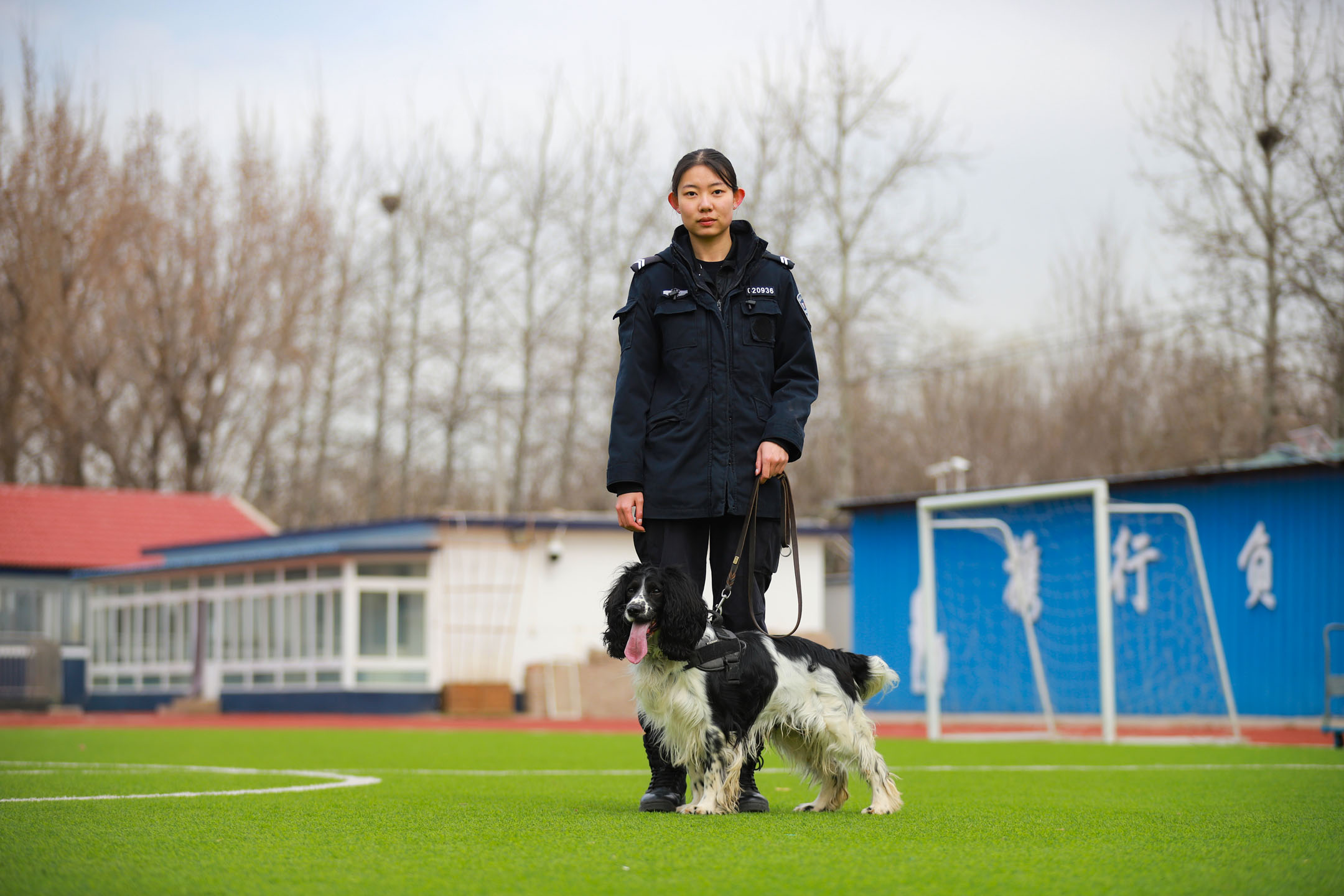 警花与警犬的狗 品种图片