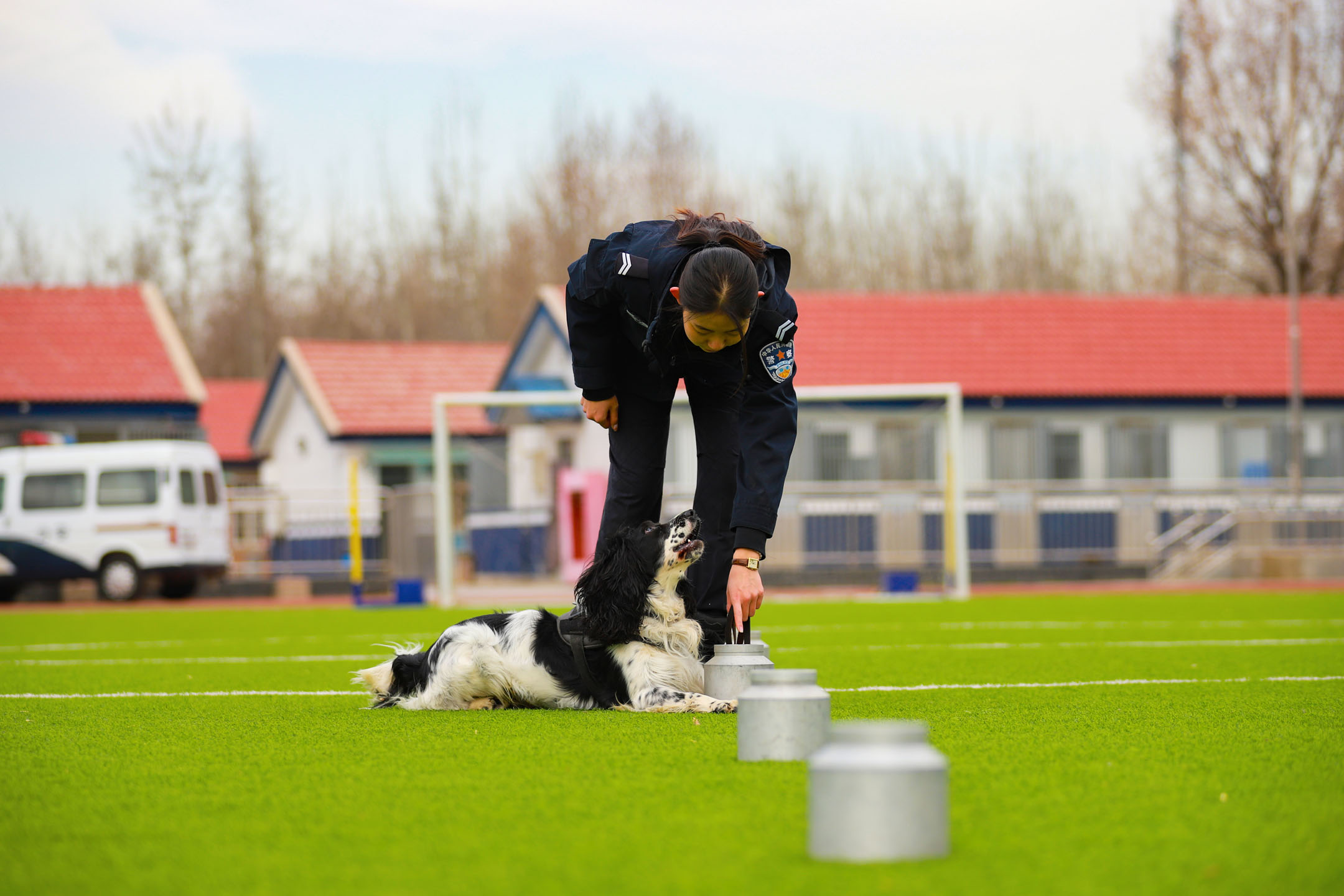 警花与警犬警犬大赛图片