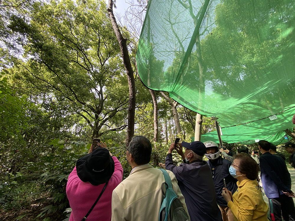 
北京妇产医院黄牛代挂号电话票贩子号贩子网上预约挂号,住院检查加快,猛禽凤头鹰，重回人群喧闹处