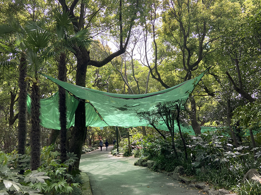 
北京妇产医院黄牛代挂号电话票贩子号贩子网上预约挂号,住院检查加快,猛禽凤头鹰，重回人群喧闹处