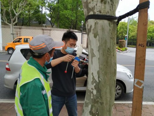 
北京大学第三医院黄牛代挂号电话票贩子号贩子网上预约挂号,住院检查加快,“飞絮季”来袭，上海采取多种措施控制悬铃木飞絮