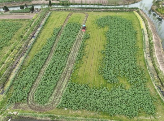 
西安各大医院黄牛代挂号电话票贩子号贩子网上预约挂号,住院检查加快,农机一响，万象“耕”新，奉贤区金汇镇正式拉开春耕序幕