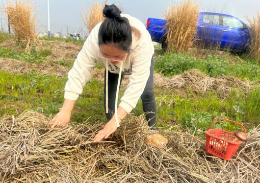 
上海华山医院黄牛代挂号电话票贩子号贩子网上预约挂号,住院检查加快,来四团镇渔洋村，一起做采蘑菇的小姑娘~