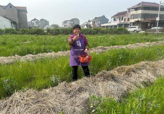 
上海华山医院黄牛代挂号电话票贩子号贩子网上预约挂号,住院检查加快,来四团镇渔洋村，一起做采蘑菇的小姑娘~