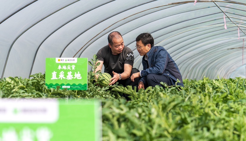 
江苏省人民医院黄牛代挂号电话票贩子号贩子网上预约挂号,住院检查加快,倒计时一周！“南汇8424”西瓜赶早上市，线上下单30分钟配送到家