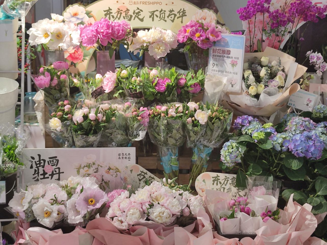
长春吉大二院黄牛代挂号电话票贩子号贩子网上预约挂号,住院检查加快,开启100天“超长待机” 四川芍药香飘全国盒马