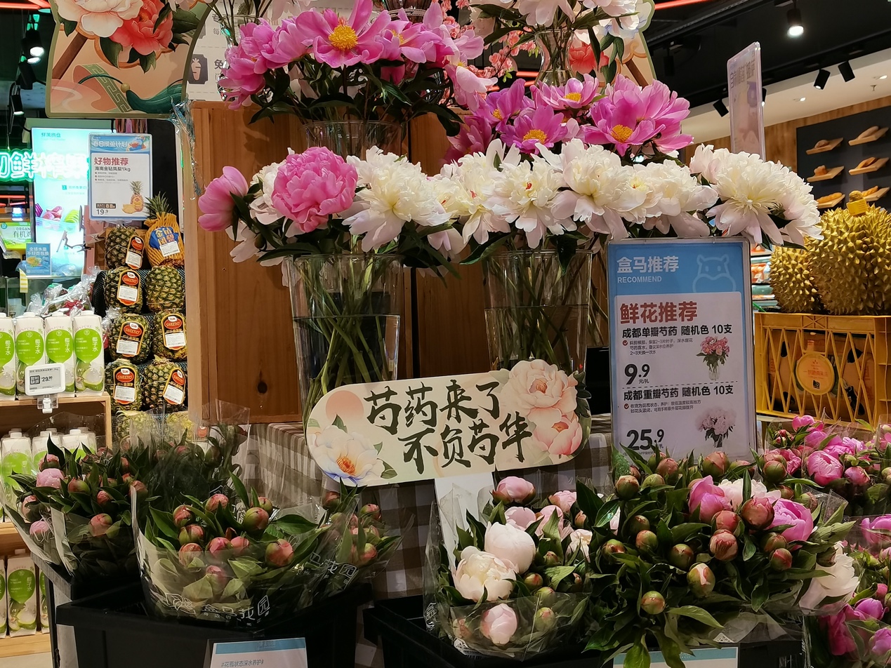 
长春吉大二院黄牛代挂号电话票贩子号贩子网上预约挂号,住院检查加快,开启100天“超长待机” 四川芍药香飘全国盒马