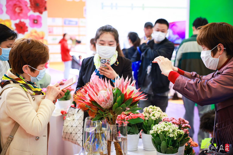 
东部战区总医院黄牛代挂号电话票贩子号贩子网上预约挂号,住院检查加快,500多家企业参展中国国际花卉园艺展览会，展出面积达4万平方米