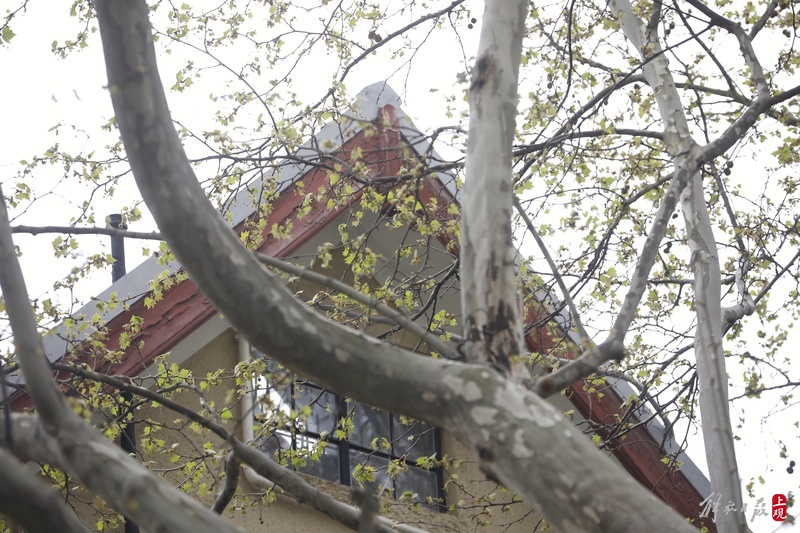 
江苏省中医院黄煌的号黄牛代挂号电话票贩子号贩子网上预约挂号,住院检查加快,飞絮季来临，这些动作可保护敏感人群