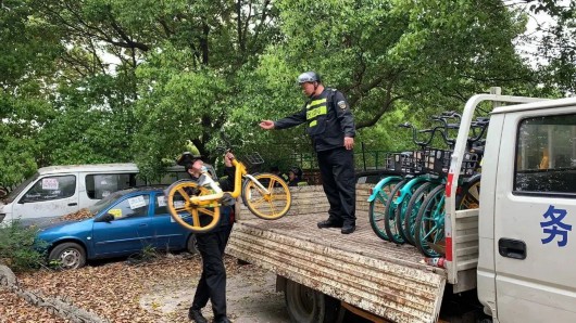 
南京中科研究所黄牛代挂号电话票贩子号贩子网上预约挂号,住院检查加快,焕新美丽市容，共享绿色生活！宝山区开展4月环境清洁周行动