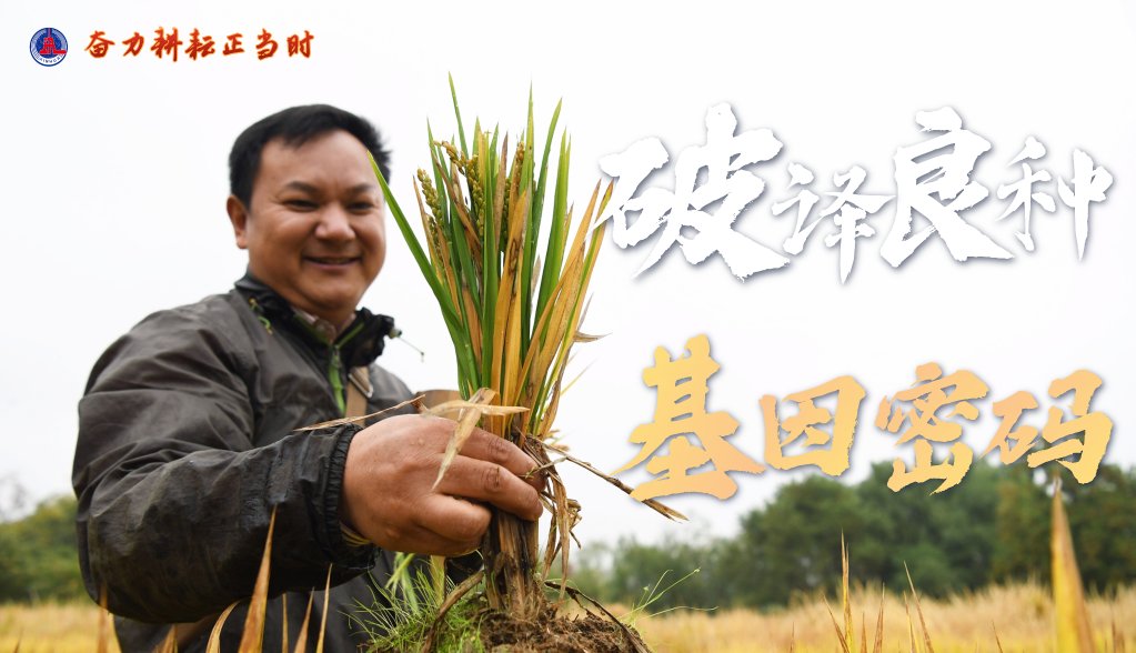 
杭州市富阳中医骨伤医院黄牛代挂号电话票贩子号贩子网上预约挂号,住院检查加快,新时代新征程新伟业·习近平总书记关切事丨奋力耕耘正当时——农业强国建设一线的四个故事