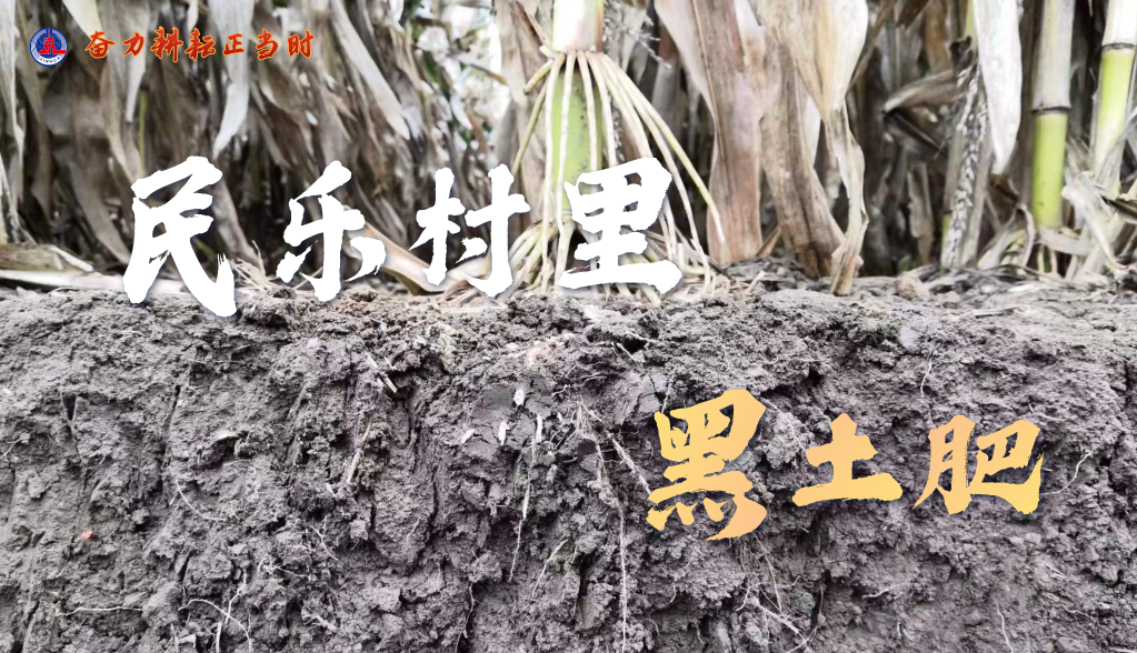 
杭州市富阳中医骨伤医院黄牛代挂号电话票贩子号贩子网上预约挂号,住院检查加快,新时代新征程新伟业·习近平总书记关切事丨奋力耕耘正当时——农业强国建设一线的四个故事