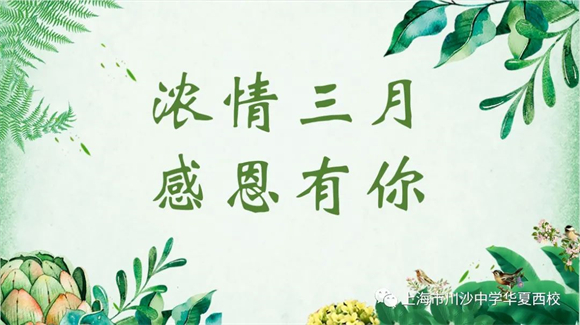 WDCM上传图片