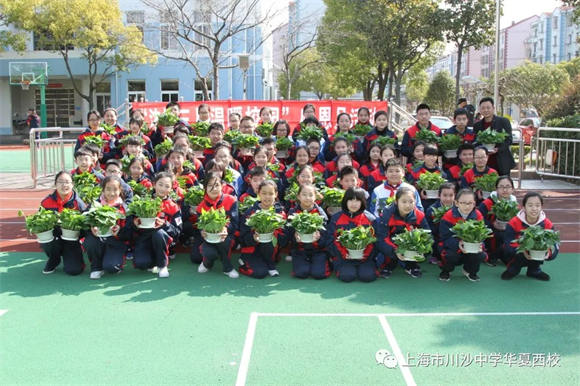 WDCM上传图片