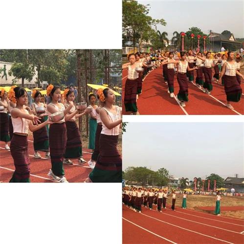 WDCM上传图片 WDCM上传图片