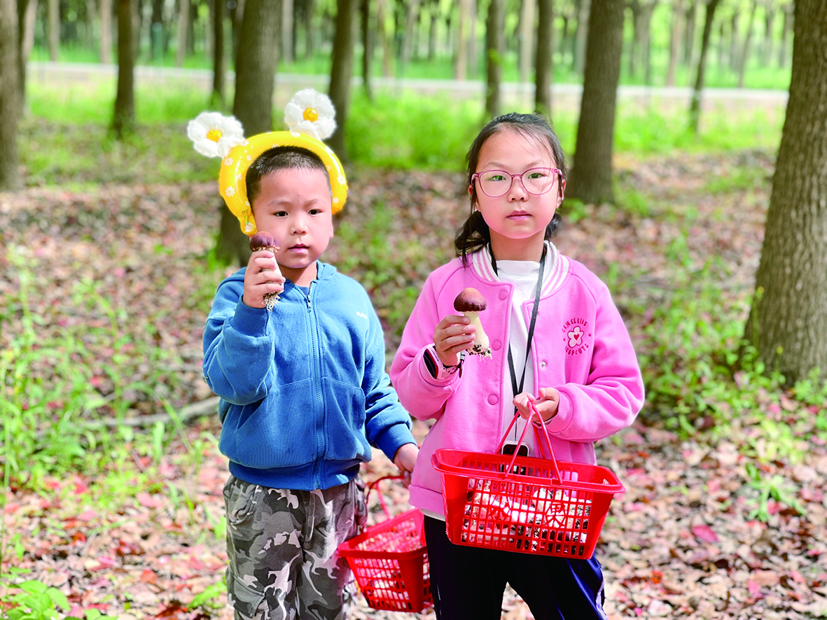 
北京同仁医院黄牛代挂号电话票贩子号贩子网上预约挂号,住院检查加快,赤松茸丰收 市民采摘乐