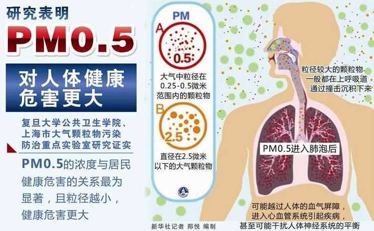 
空军特色医学中心黄牛代挂号电话票贩子号贩子网上预约挂号,住院检查加快,“微出汗”系列报道 | 学会看空气质量再健身，这样运动危害大，老友们三思而后行