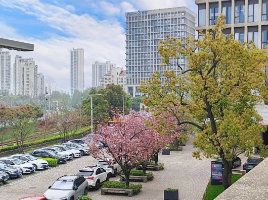 
成都华西医院黄牛代挂号电话票贩子号贩子网上预约挂号,住院检查加快,春光正好，来宝山开启一场看展之旅吧~