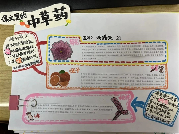 WDCM上传图片 WDCM上传图片