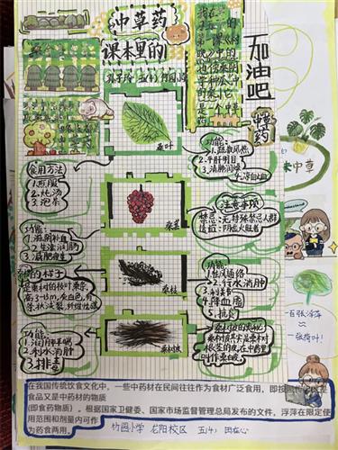 WDCM上传图片 WDCM上传图片