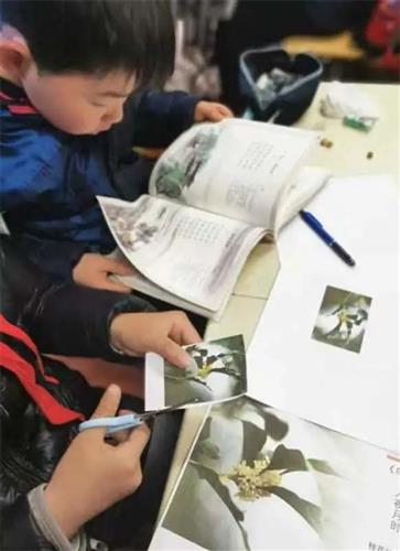 WDCM上传图片 WDCM上传图片