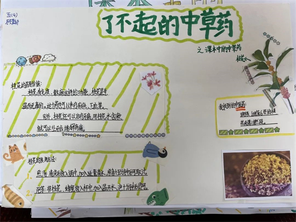 WDCM上传图片 WDCM上传图片