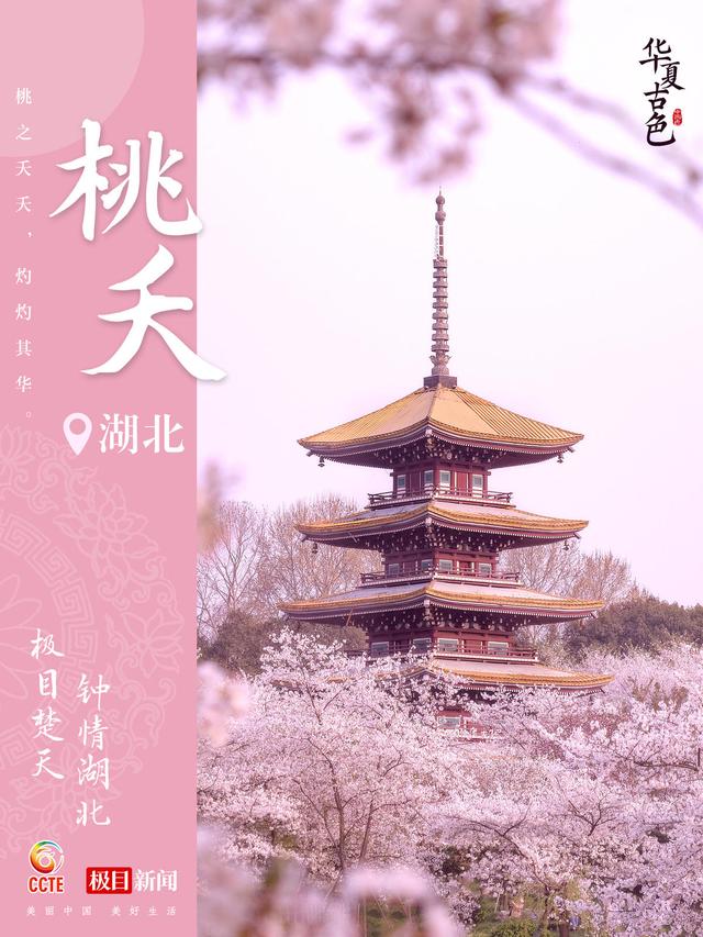 北大医院黄牛代挂号电话票贩子号贩子网上预约挂号,住院检查加快,你的家乡是哪种 “国色” ?
