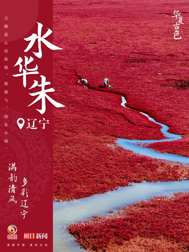 北大医院黄牛代挂号电话票贩子号贩子网上预约挂号,住院检查加快,你的家乡是哪种 “国色” ?