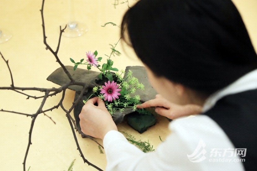 
北大第一医院黄牛代挂号电话票贩子号贩子网上预约挂号,住院检查加快,游春祈福 ，“插花书画作品联展”在玉佛禅寺举行