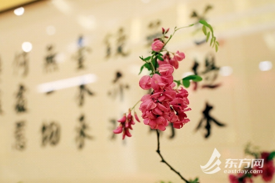 
北大第一医院黄牛代挂号电话票贩子号贩子网上预约挂号,住院检查加快,游春祈福 ，“插花书画作品联展”在玉佛禅寺举行