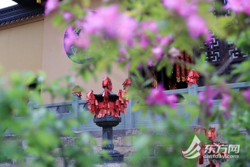 
北大第一医院黄牛代挂号电话票贩子号贩子网上预约挂号,住院检查加快,游春祈福 ，“插花书画作品联展”在玉佛禅寺举行